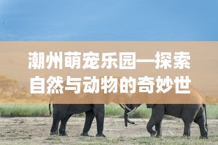 潮州萌宠乐园—探索自然与动物的奇妙世界