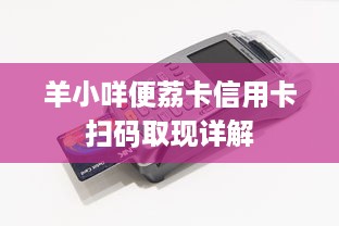 羊小咩便荔卡信用卡扫码取现详解