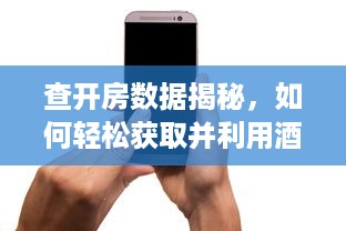 查开房数据揭秘，如何轻松获取并利用酒店入住数据？