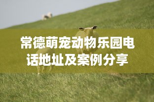 常德萌宠动物乐园电话地址及案例分享