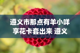 遵义市那点有羊小咩享花卡套出来 遵义市羊小咩享花卡套出攻略，解锁遵义美食与美景的绝佳方式！