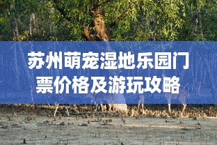 苏州萌宠湿地乐园门票价格及游玩攻略