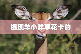 提现羊小咩享花卡的