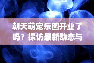 朝天萌宠乐园开业了吗？探访最新动态与案例分析