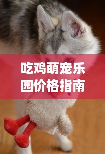 吃鸡萌宠乐园价格指南