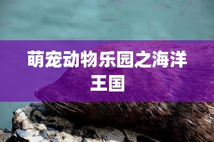 萌宠动物乐园之海洋王国