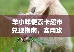 羊小咩便荔卡超市兑现指南，实用攻略与常见问题解答