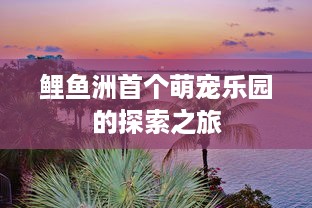鲤鱼洲首个萌宠乐园的探索之旅
