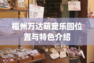 福州万达萌宠乐园位置与特色介绍