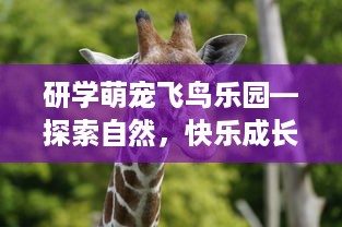 研学萌宠飞鸟乐园—探索自然，快乐成长