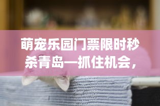 萌宠乐园门票限时秒杀青岛—抓住机会，与可爱动物零距离接触