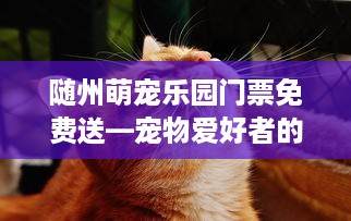 随州萌宠乐园门票免费送—宠物爱好者的福音！