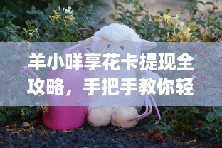 羊小咩享花卡提现全攻略，手把手教你轻松提现不踩坑