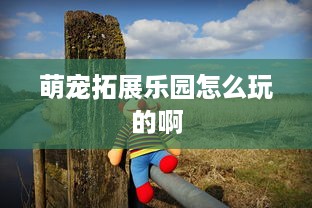 萌宠拓展乐园怎么玩的啊