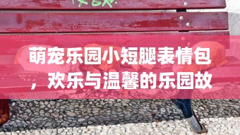 萌宠乐园小短腿表情包，欢乐与温馨的乐园故事