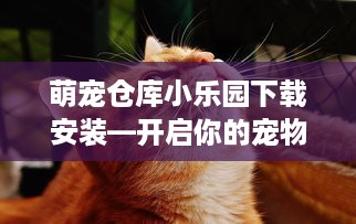 萌宠仓库小乐园下载安装—开启你的宠物乐园之旅