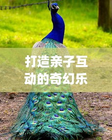 打造亲子互动的奇幻乐园—萌宠乐园小型能互动的动物