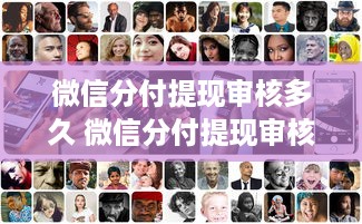 微信分付提现审核多久 微信分付提现审核那些事儿，揭秘审核时间与常见问题