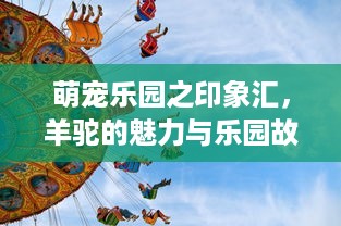萌宠乐园之印象汇，羊驼的魅力与乐园故事