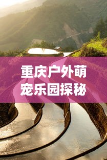 重庆户外萌宠乐园探秘