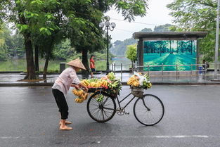 重庆户外萌宠乐园探秘
