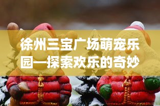 徐州三宝广场萌宠乐园—探索欢乐的奇妙之旅