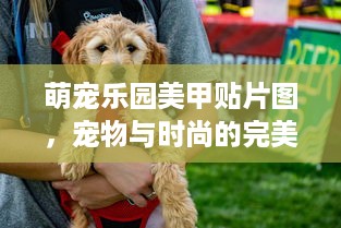 萌宠乐园美甲贴片图，宠物与时尚的完美结合