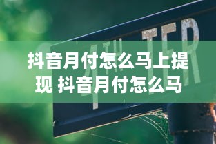 抖音月付怎么马上提现 抖音月付怎么马上提现？轻松操作指南+案例分享