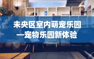 未央区室内萌宠乐园—宠物乐园新体验