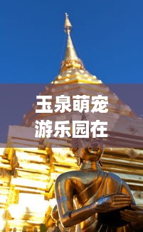 玉泉萌宠游乐园在哪里？
