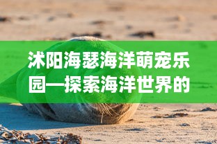 沭阳海瑟海洋萌宠乐园—探索海洋世界的奇妙之旅