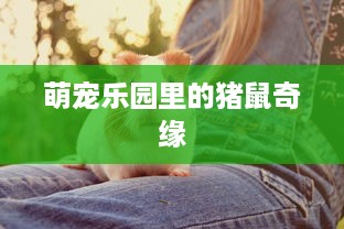 萌宠乐园里的猪鼠奇缘