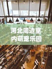 河北周边室内萌宠乐园店全攻略