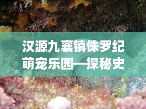 汉源九襄镇侏罗纪萌宠乐园—探秘史前动物的奇妙世界