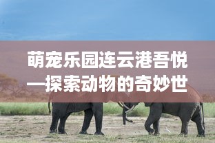 萌宠乐园连云港吾悦—探索动物的奇妙世界