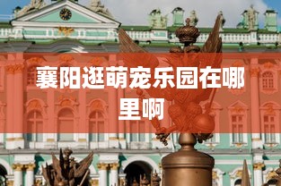 萌宠乐园敏捷赛攻略大全