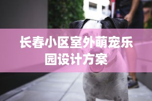 长春小区室外萌宠乐园设计方案