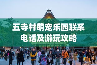 五寺村萌宠乐园联系电话及游玩攻略