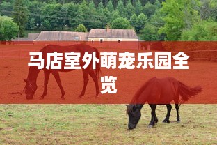 马店室外萌宠乐园全览