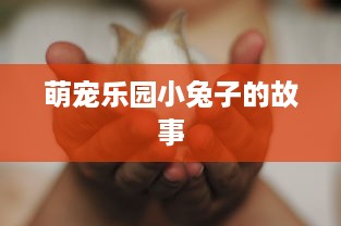 萌宠乐园小兔子的故事