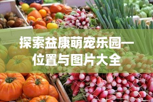 探索益康萌宠乐园—位置与图片大全