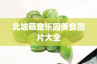 北坡萌宠乐园美食图片大全