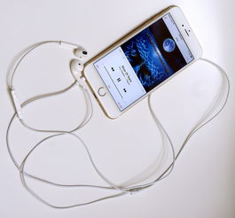 找回遗失的聊天记录，iPhone版陌陌聊天记录恢复指南