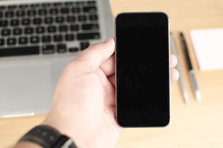 找回遗失的聊天记录，iPhone版陌陌聊天记录恢复指南