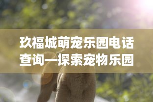 玖福城萌宠乐园电话查询—探索宠物乐园的温馨服务