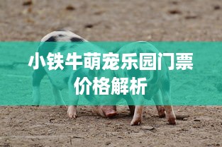 小铁牛萌宠乐园门票价格解析