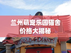 兰州萌宠乐园猫舍价格大揭秘