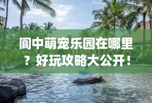 阆中萌宠乐园在哪里？好玩攻略大公开！