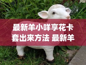 最新羊小咩享花卡套出来方法 最新羊小咩享花卡套出攻略，轻松解锁花卡新玩法！