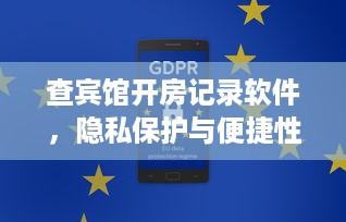 查宾馆开房记录软件，隐私保护与便捷性的双重挑战